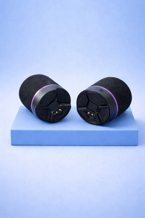 AurovaSound Neodymium Modular Split Speaker